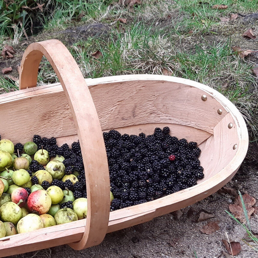 Foraged & Wild
